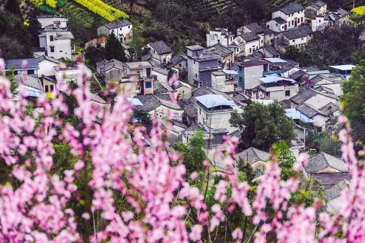 【杆言杆摄】风从徽州来 柿木汰 淡淡的乡愁记忆_图1-2