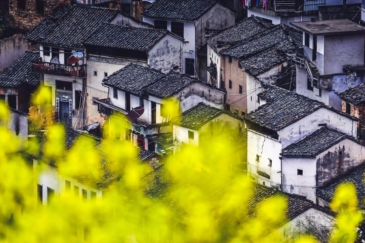 【杆言杆摄】风从徽州来 柿木汰 淡淡的乡愁记忆_图1-1