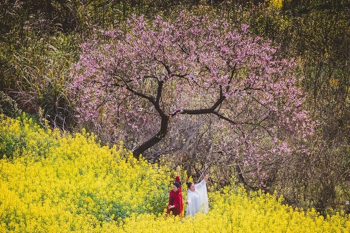 【杆言杆摄】风从徽州来 柿木汰 淡淡的乡愁记忆_图1-13